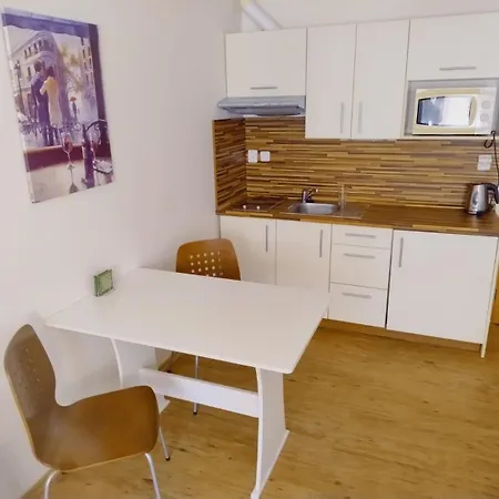 Lipno Twentyfive アパート リプノ・ナト・ヴルタヴォウ