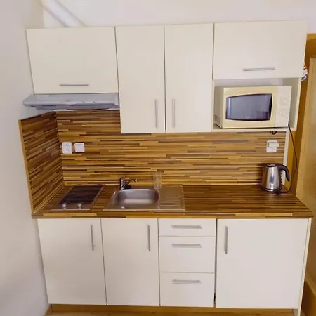 Lipno Twentyfive アパート リプノ・ナト・ヴルタヴォウ